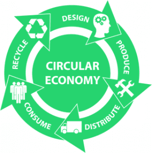 Bank & Vogue's Role In The Circular Economy: A Sustainable Model For ...